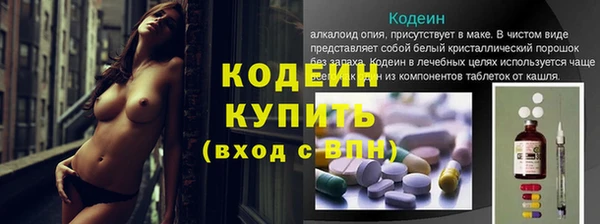 дживик Баксан