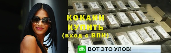 дживик Баксан